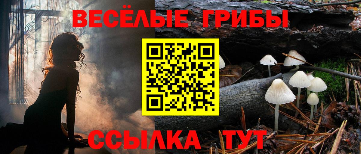 Псилоцибиновые грибы GOLDEN TEACHER Курчалой